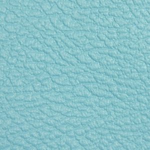 Carolina Blue